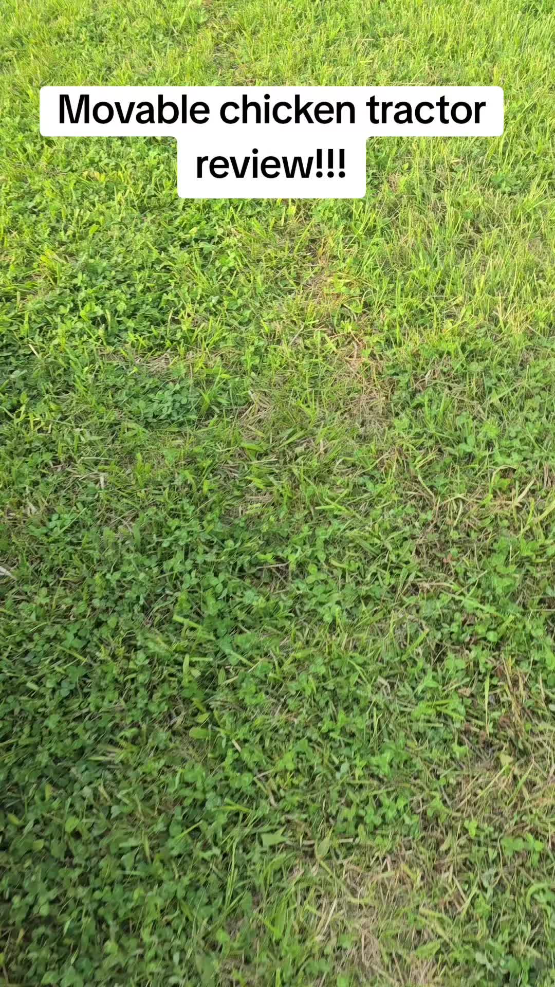 @2nd_Amend_Pasture_Raised_Eggs