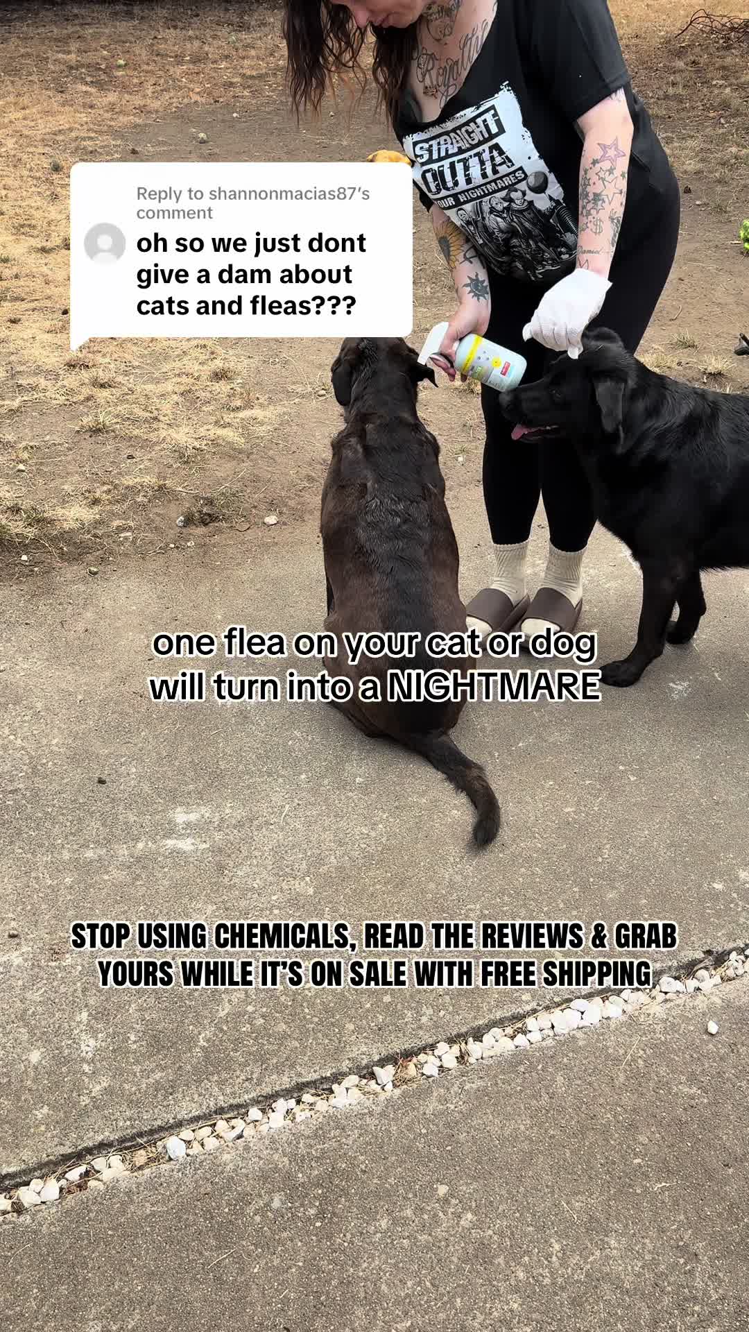 @kai•thedogmother🐾