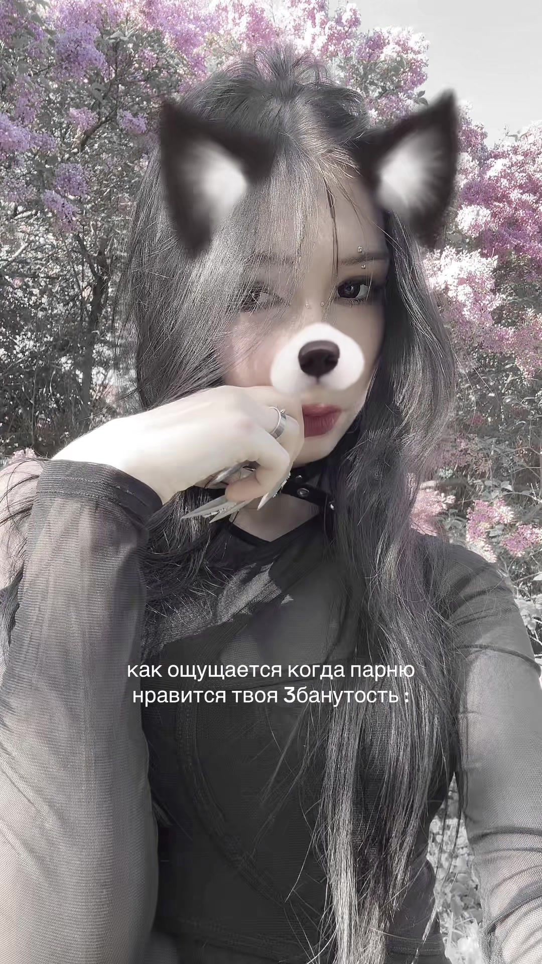 @тгк : ддару!/