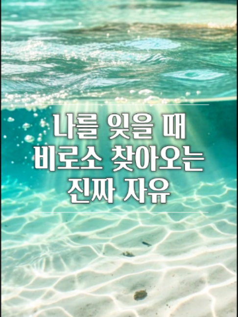 @빛의 씨앗