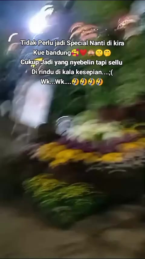 @D"C@HaYa J@zz Aly"@♉