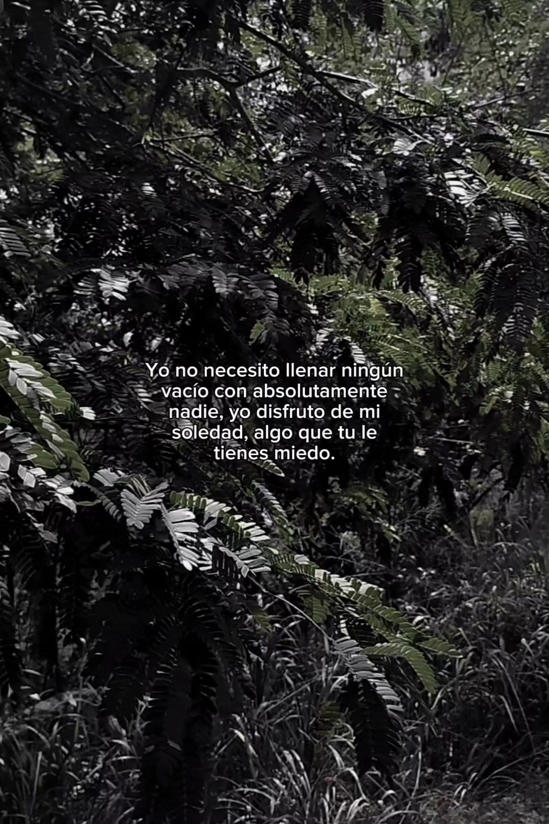 @N a t u r e