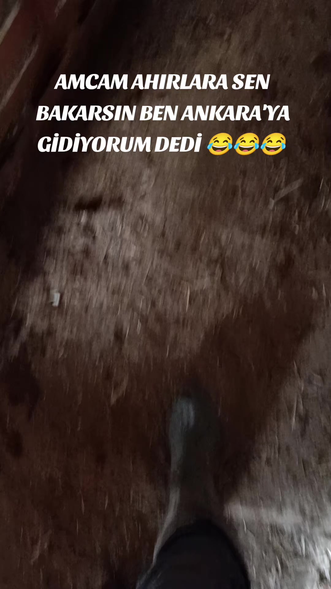 @kadir.