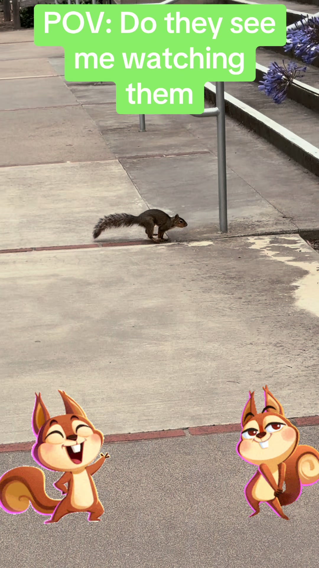 @Esp&iacute;e SP 🇲🇽