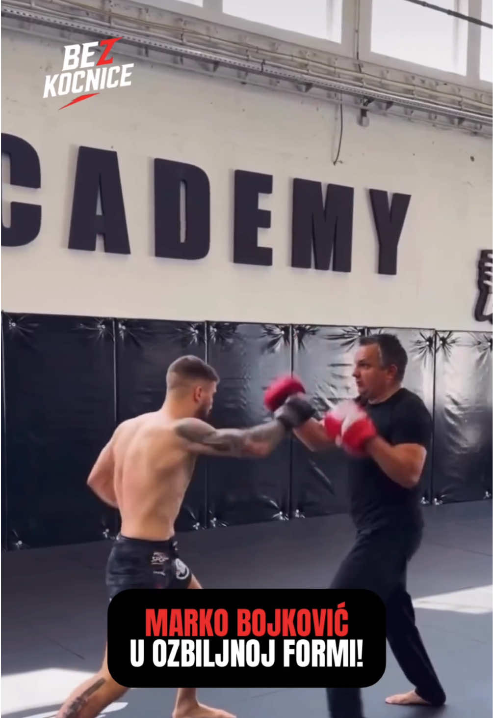 @Bez Kočnice | MMA Vesti