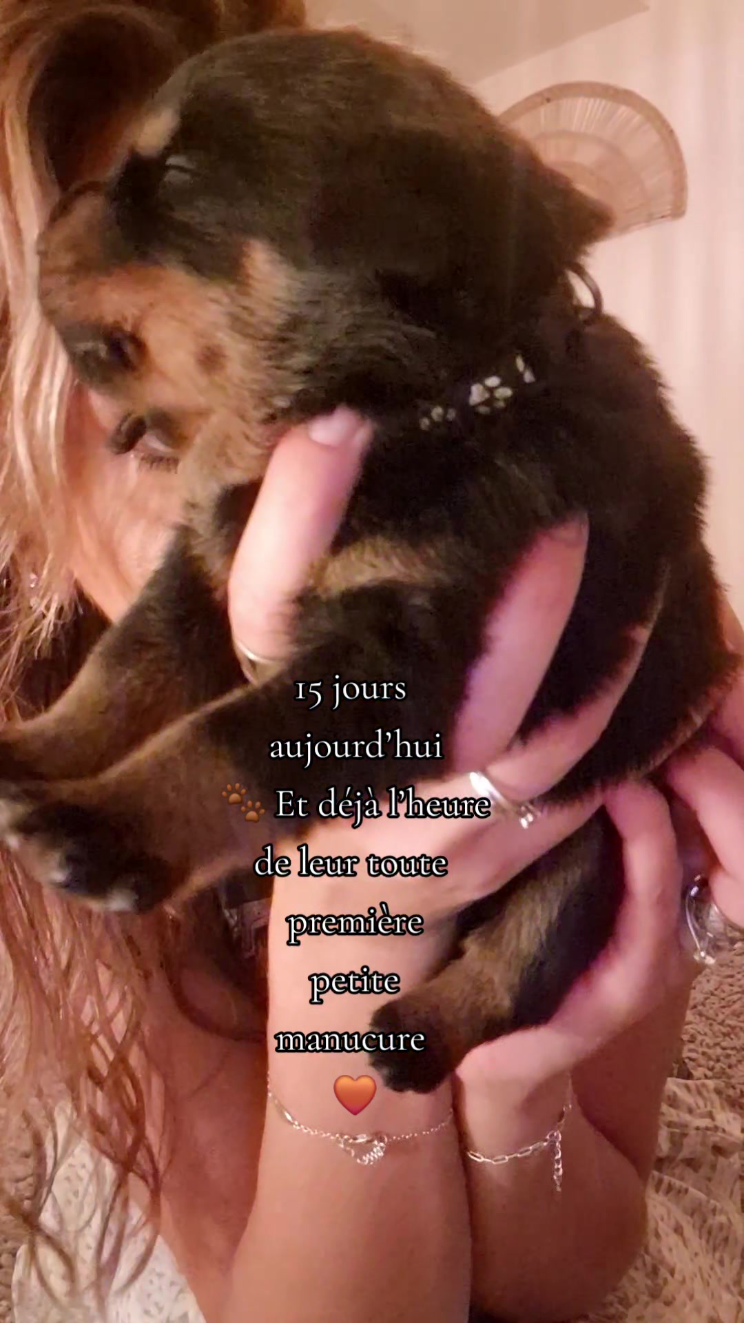 @Laetitia FACHETTi Rottweiler