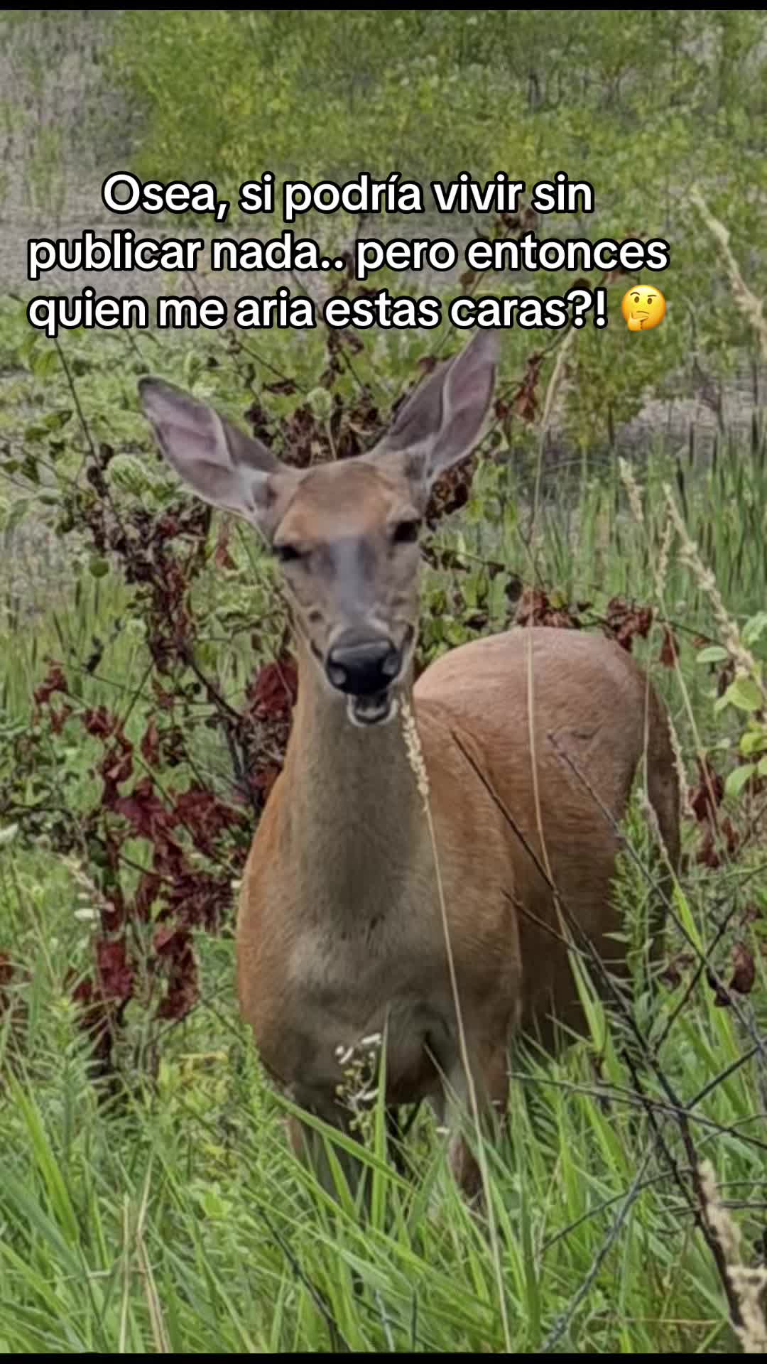 @La Duranguense 🤠 🇲🇽