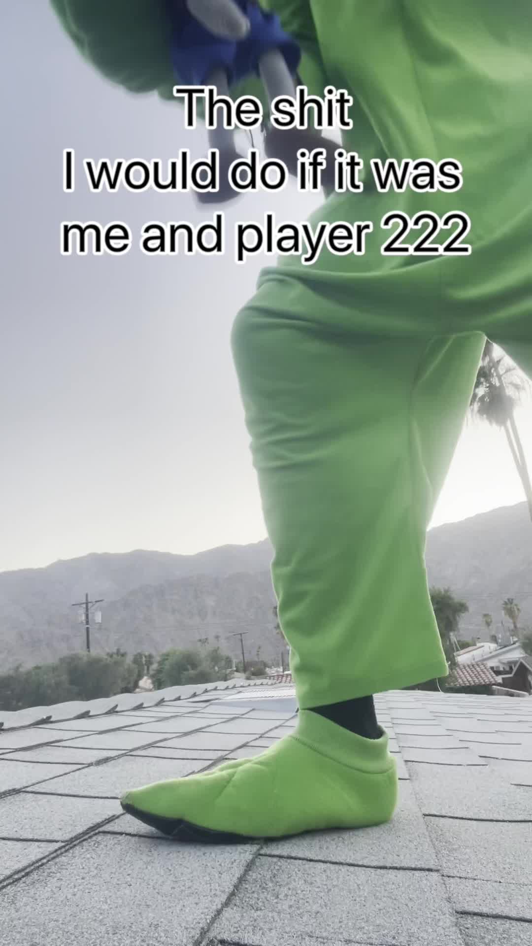 @Goofyahhpeashooter