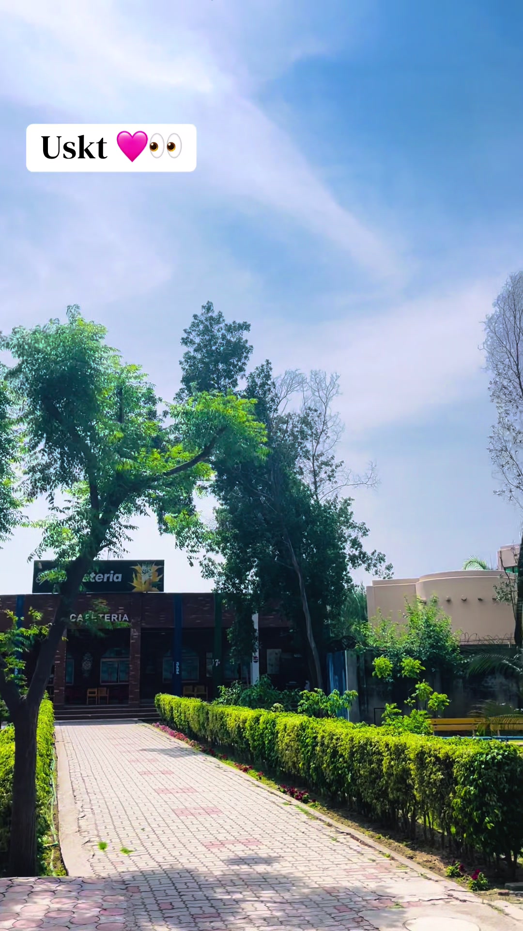 @University of Sialkot🌝