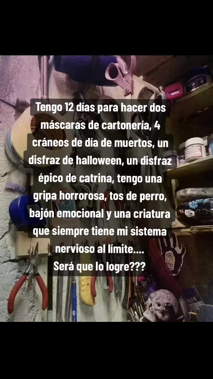 @Loretha Bauzar