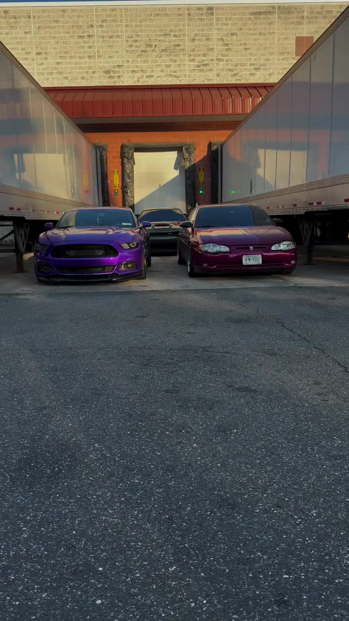 @toxicscatty