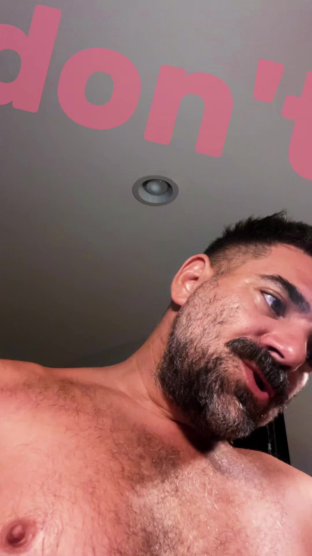 @bearfluence