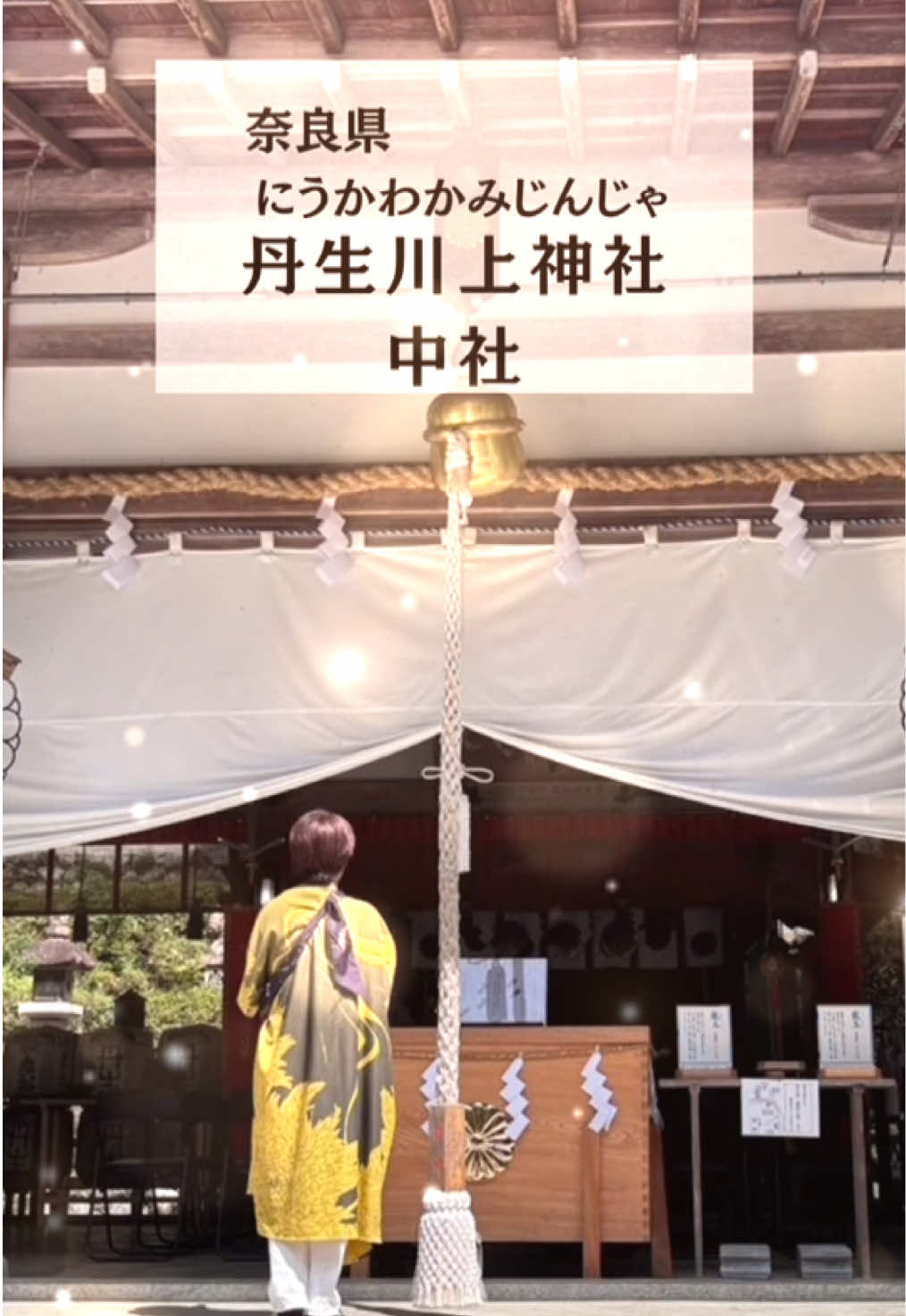 @hoshino_tarot
