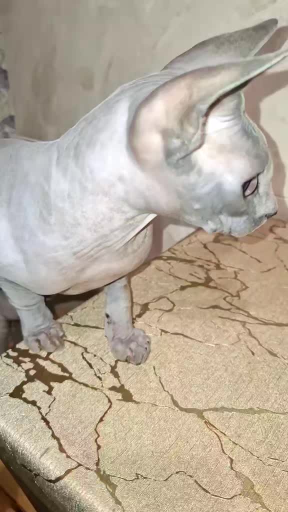 @Прогулки по Харькову