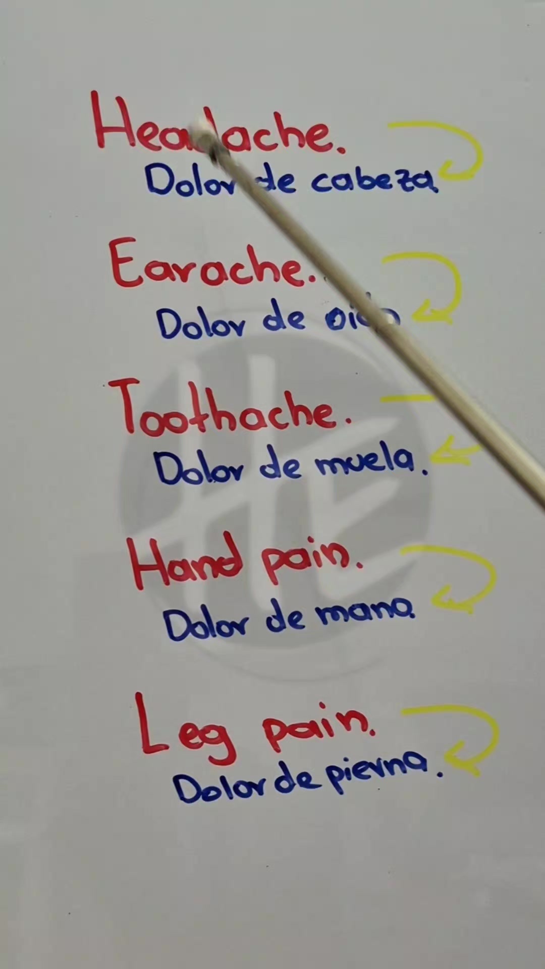 @El profesor Hern&aacute;n