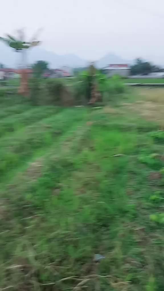 @al_frend.87