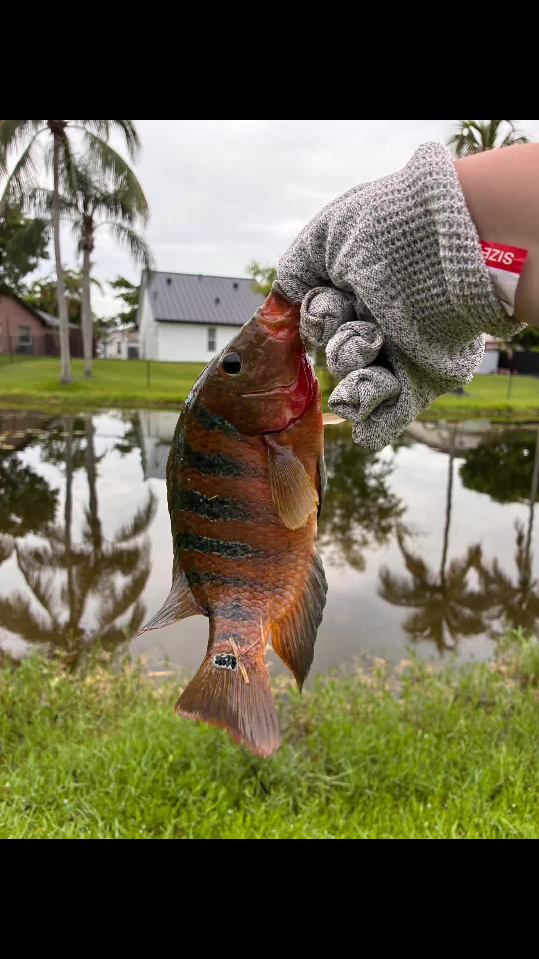 @Teamfishing