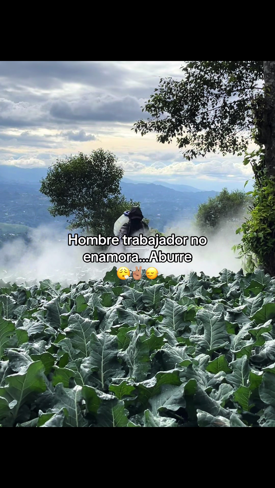 @Henry 🫡🤠
