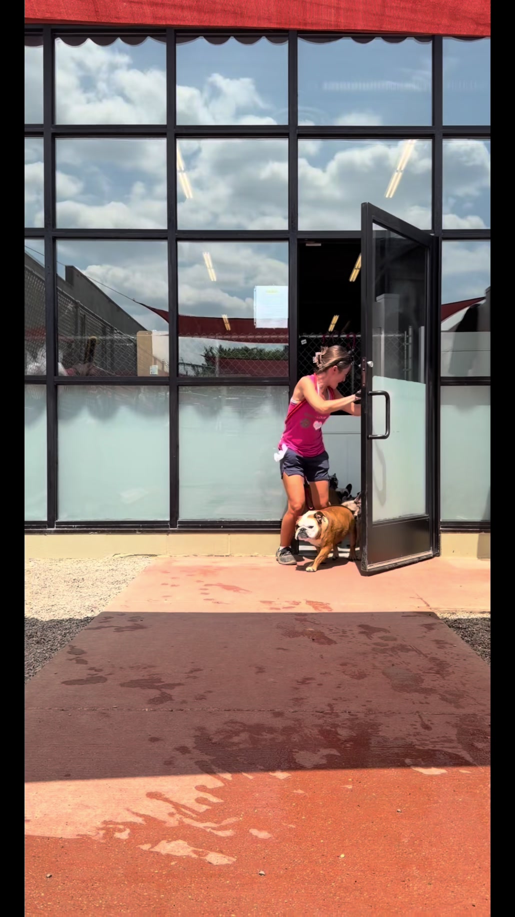 @Doggieinthewindow