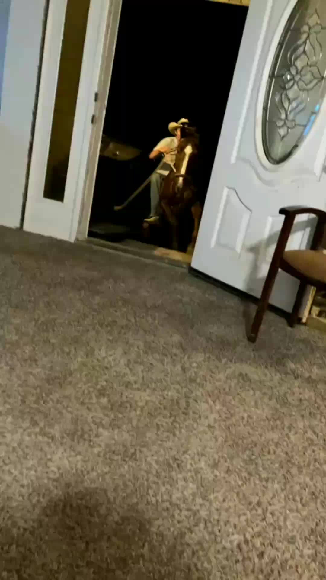 @Horses TikTok