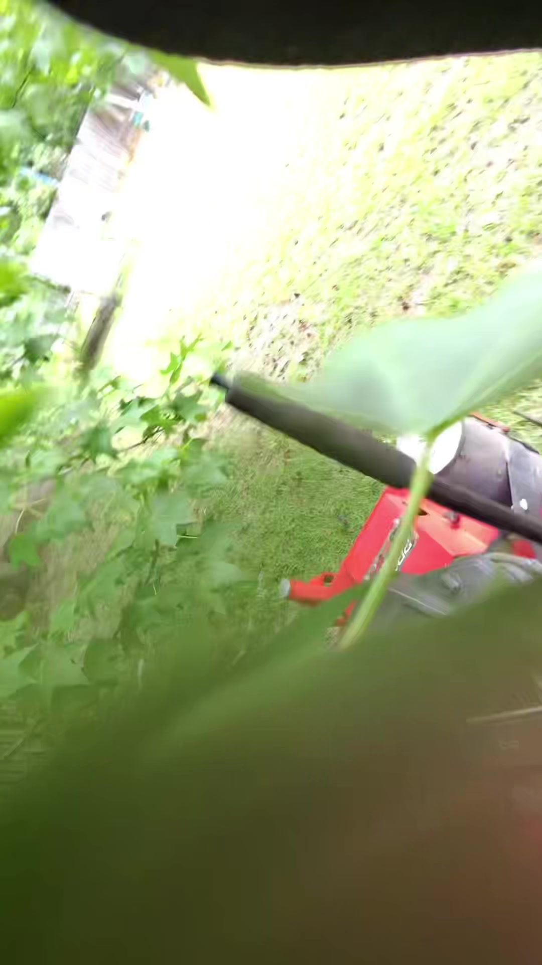 @Grow It We Mow It LLC