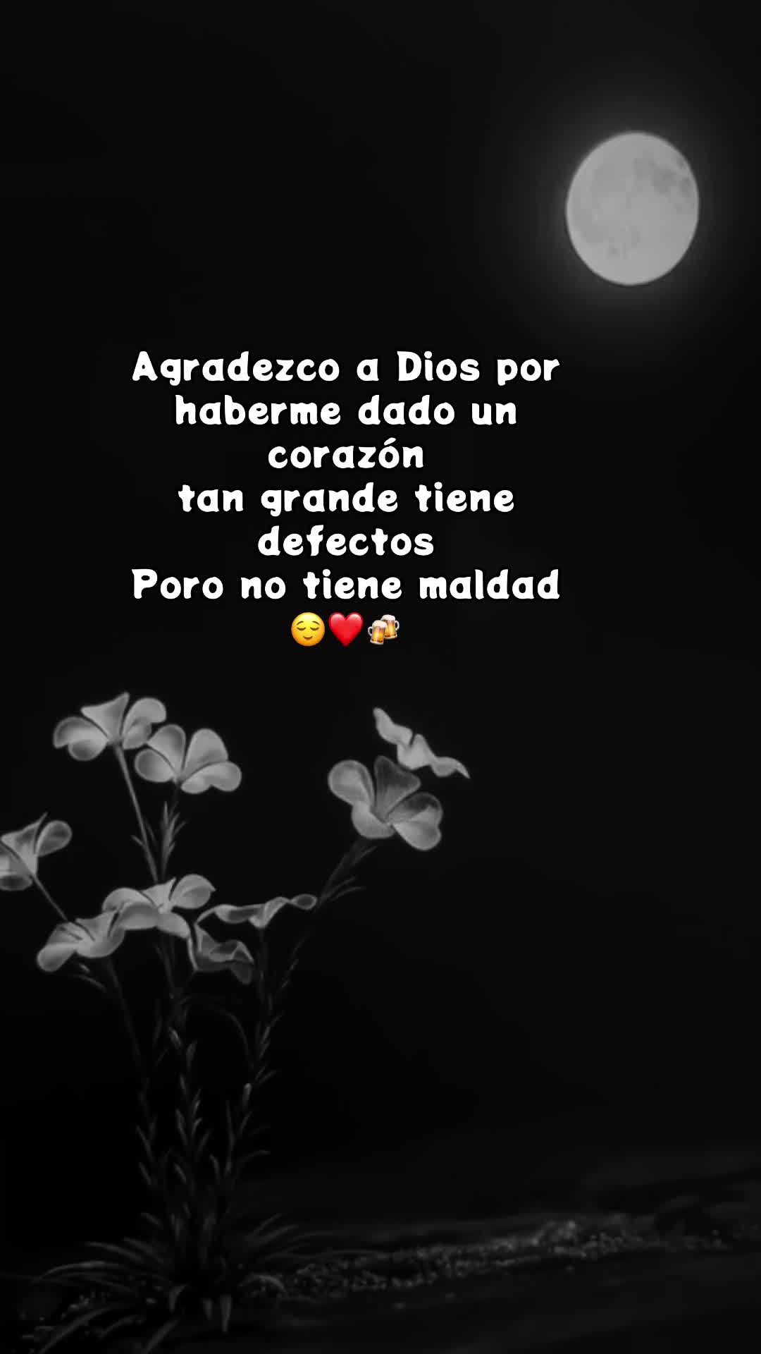 @Aida RamireZz❤️