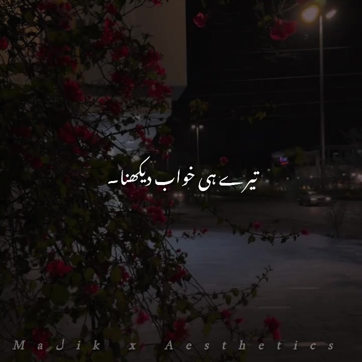 @𝑴𝑨𝑳𝑰𝑲 𝑨𝑬𝑺𝑻𝑰𝑿🎧