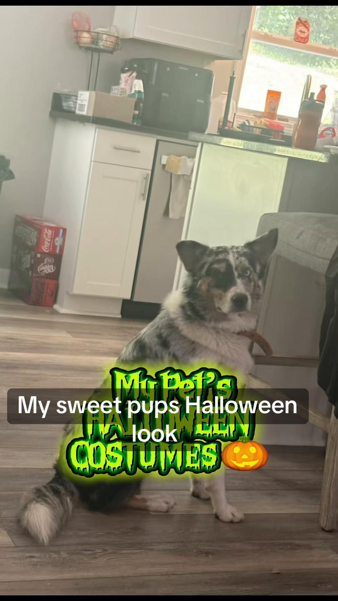 @Mama coco(Nicole)