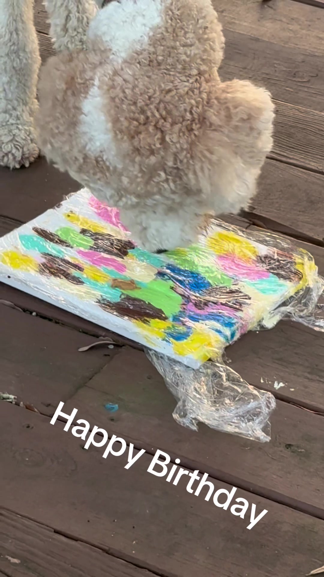 @bigdoodleandlittledoodle