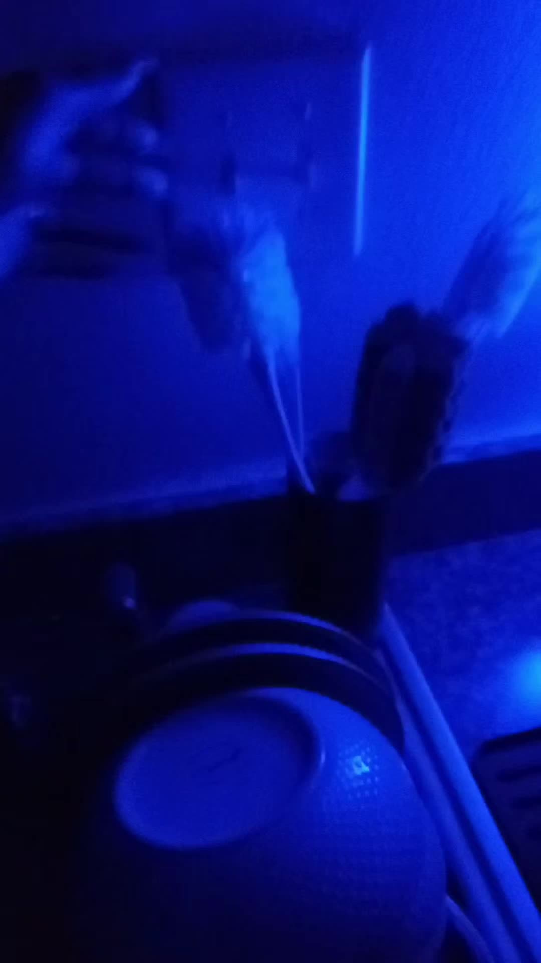 @theeuphoriclyfe