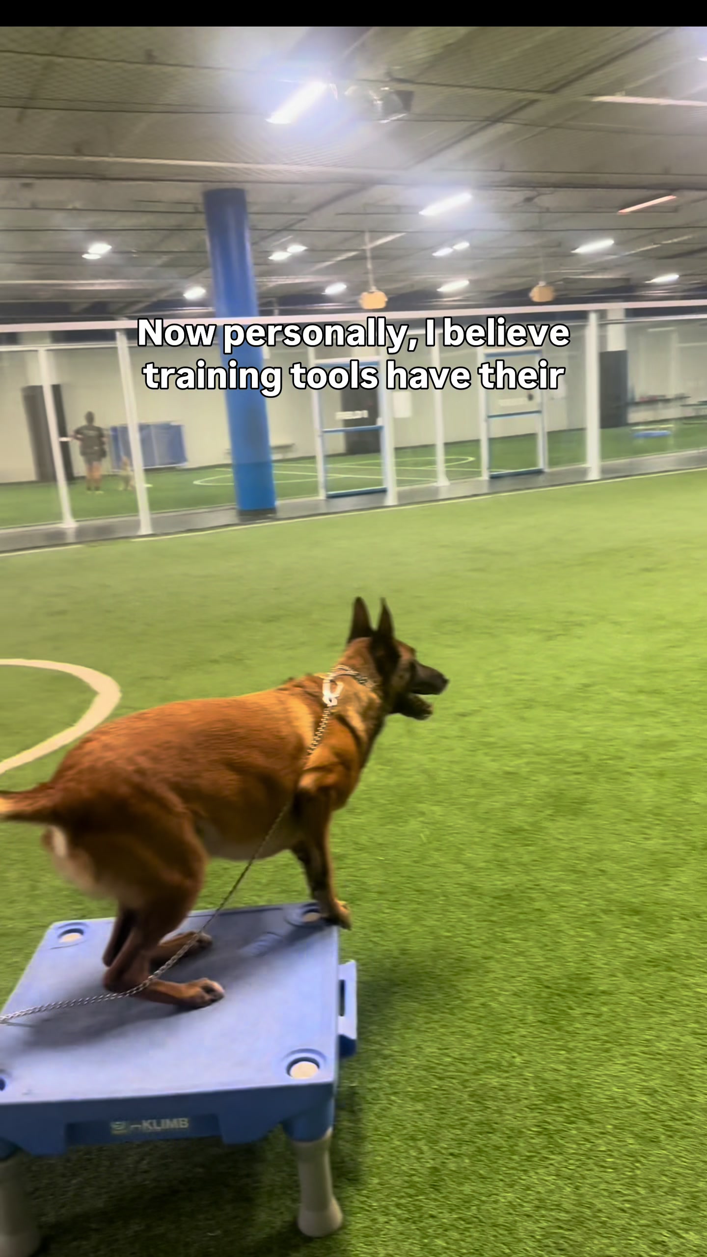 @captivatingk9s