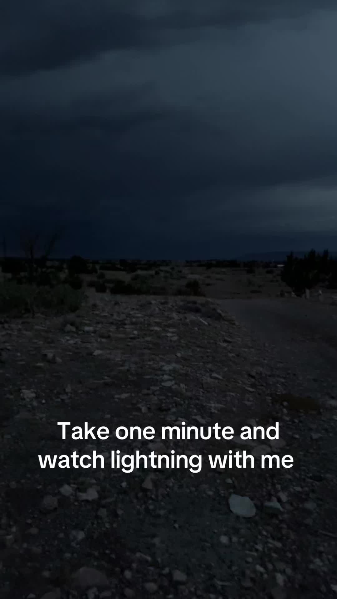 @🕷️ST4R🕸️💤
