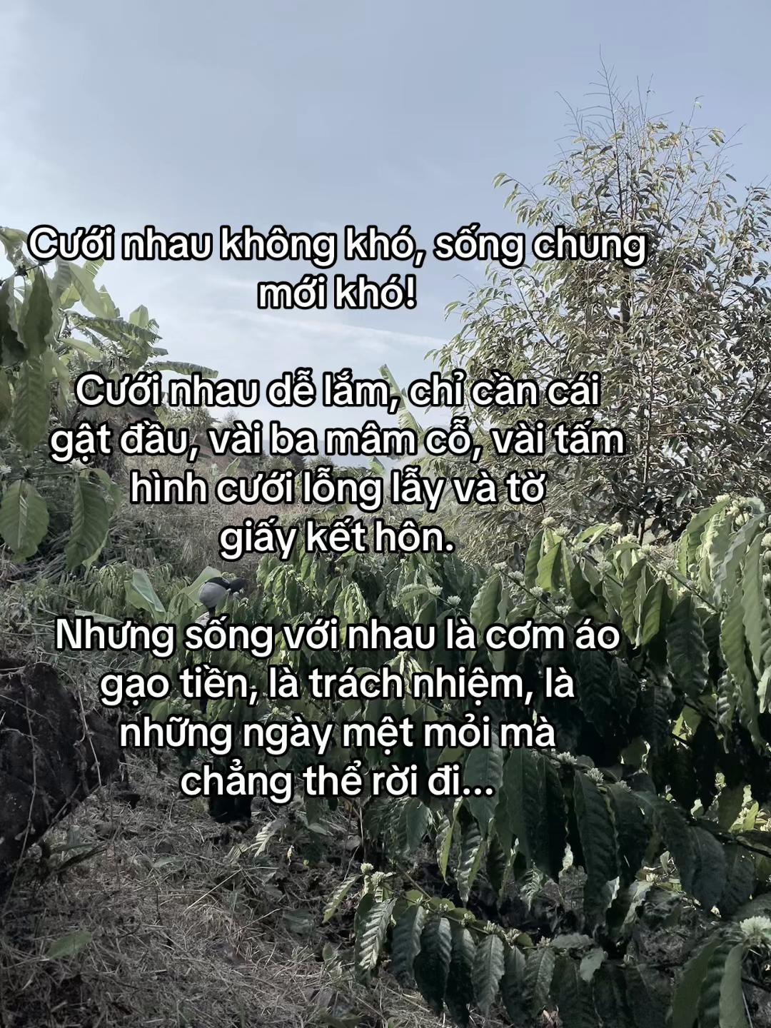 @NgỌc Vy ⚜️
