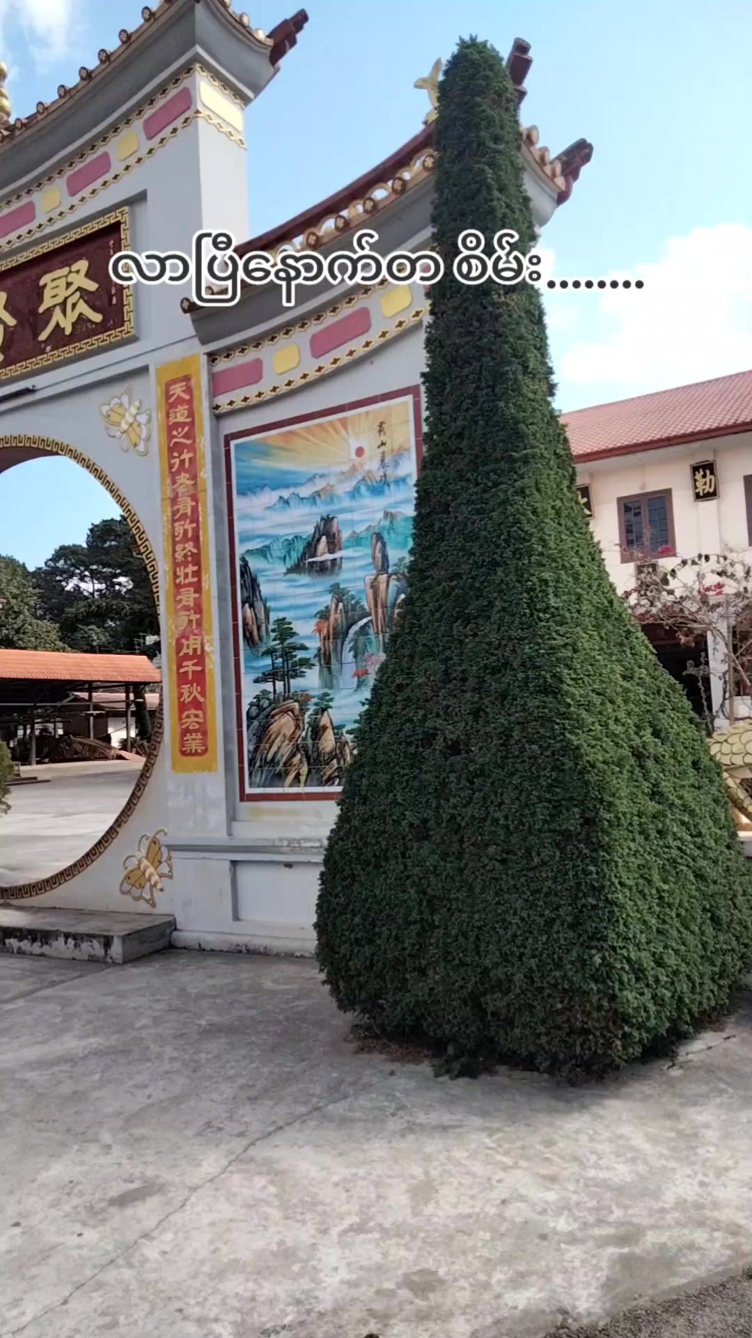 @đ Shm Suu đ