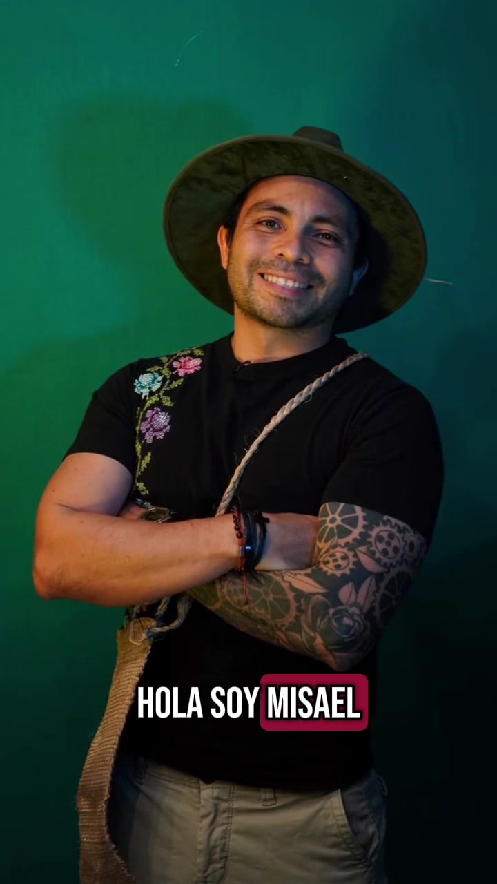 @Misaeleon(Mixo)