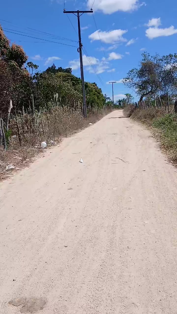 @Poliana Barbosa