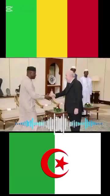 @ROI GUÉPARD N°1 223 🇲🇱