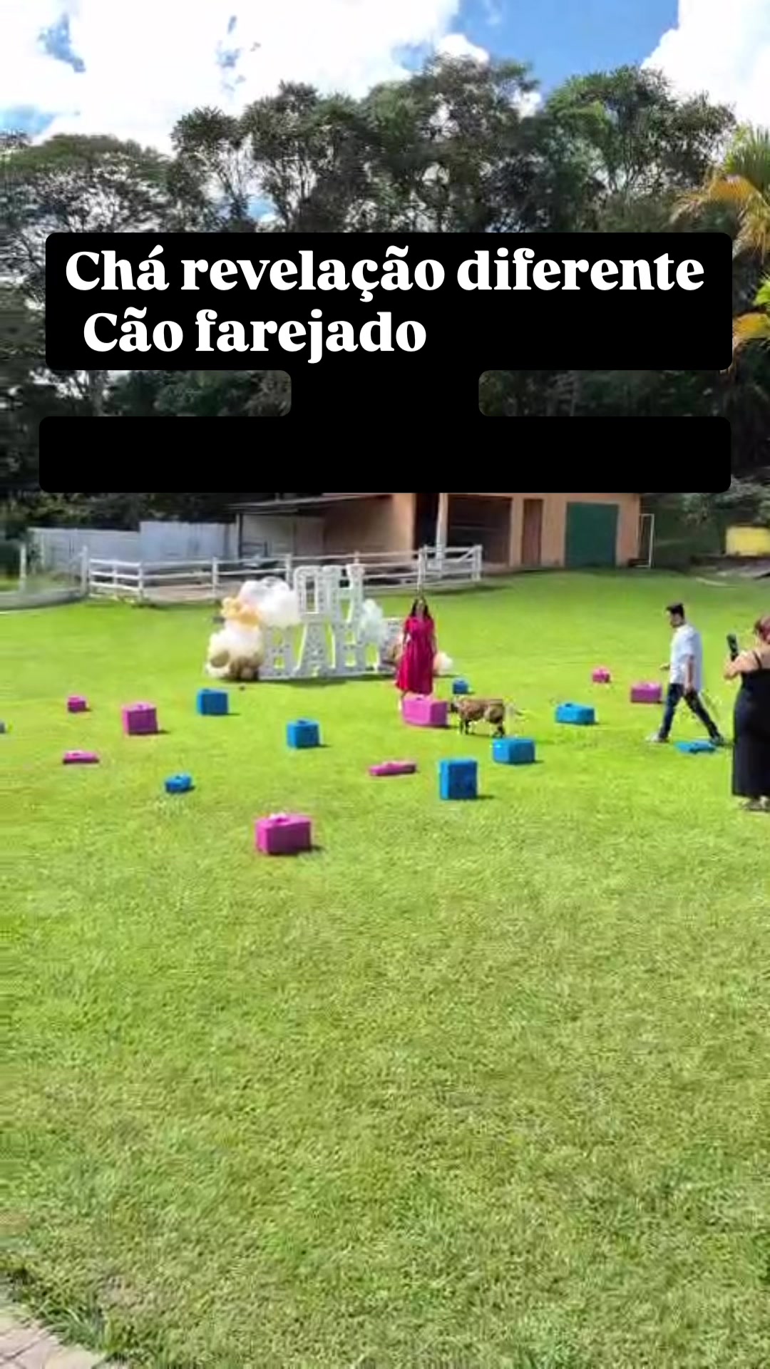 @Renato