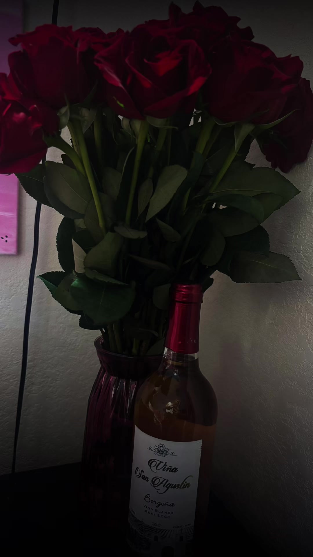 @annettegonzalez626