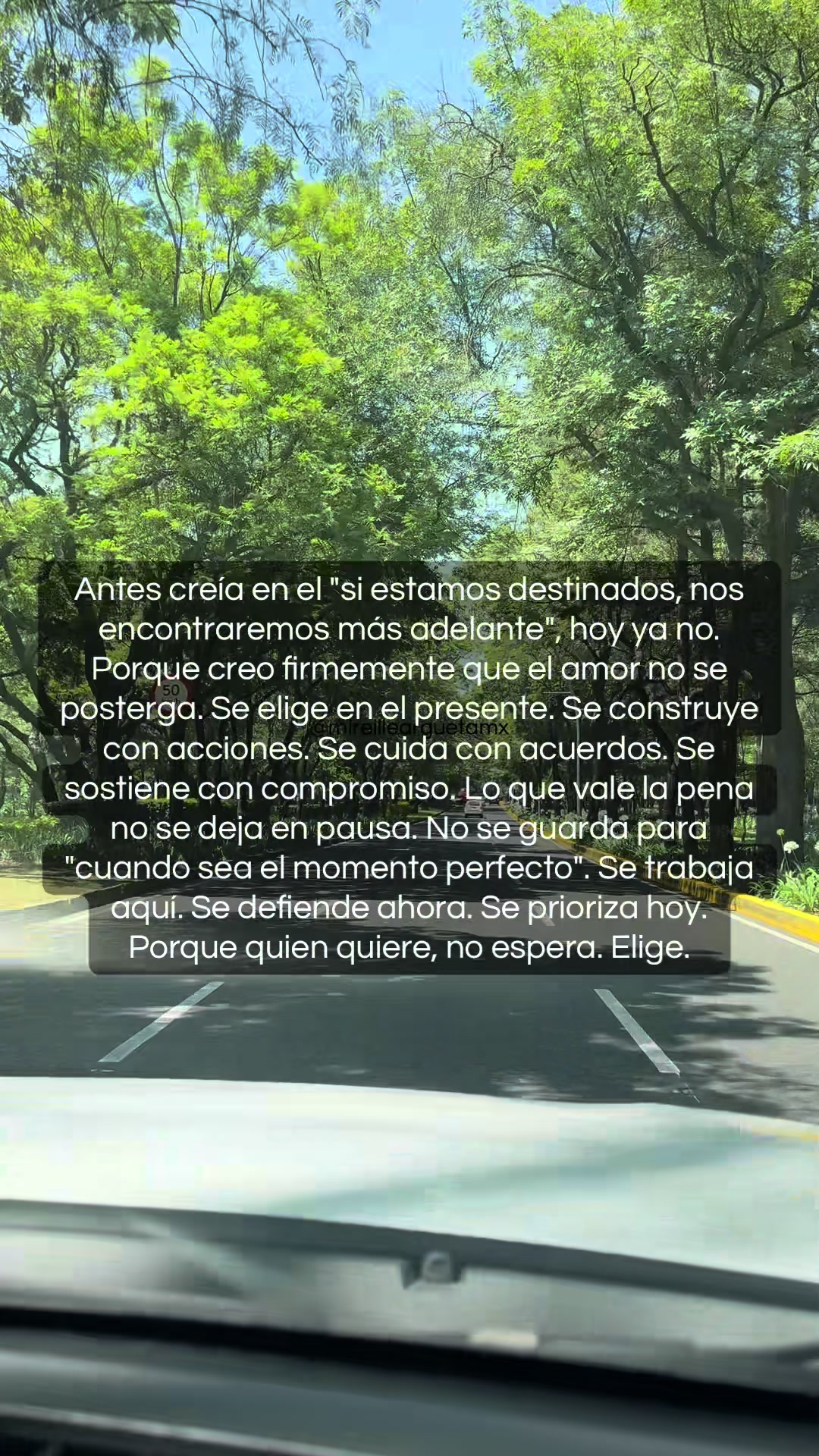 @Mireille Argueta