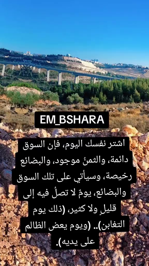 @🖌️🎨أم بشارة 🖌️🎨