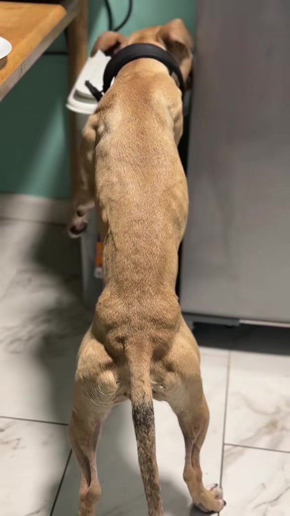 @Rocha_apbt