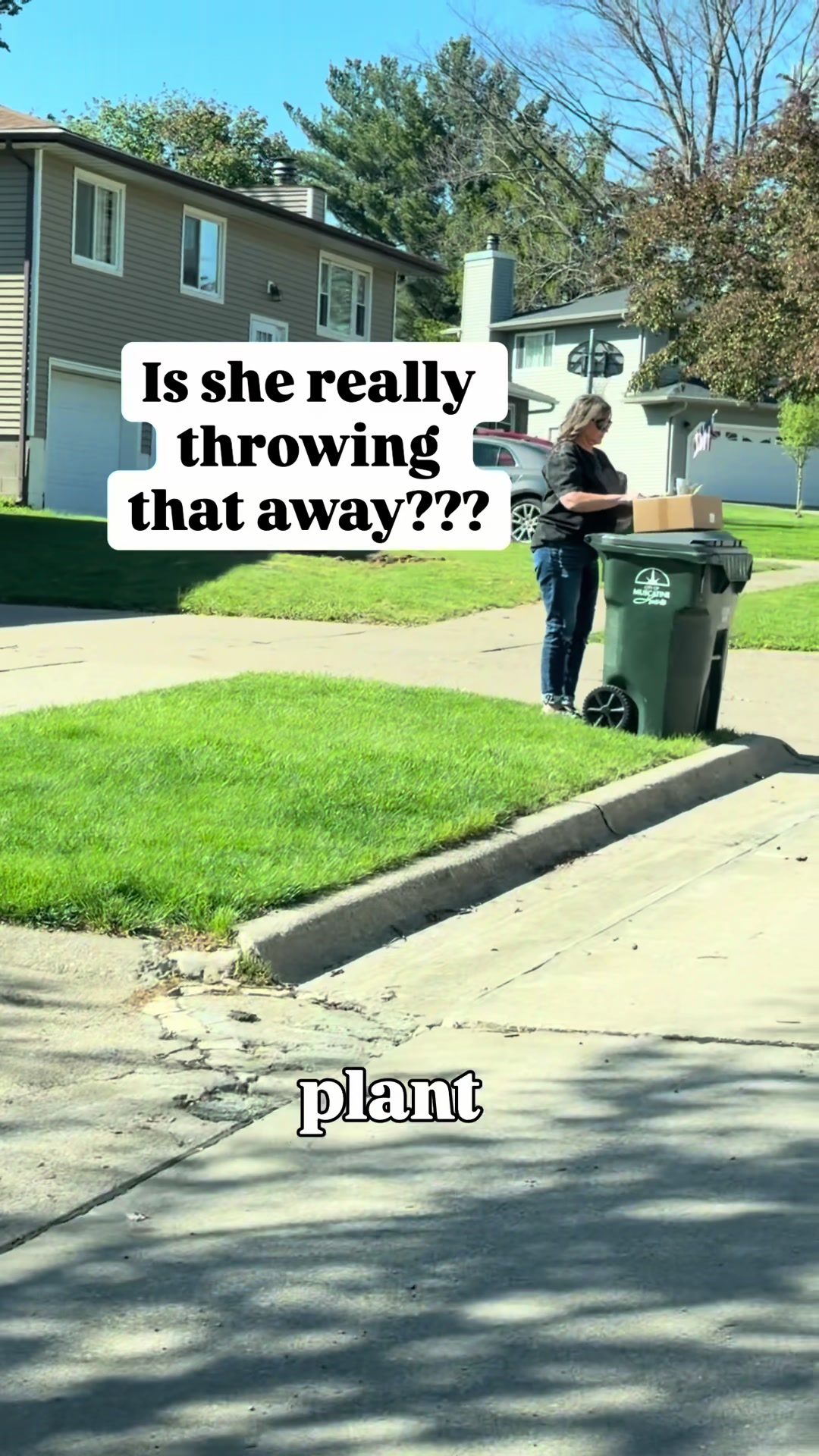 @Pothosiblyaboutplants