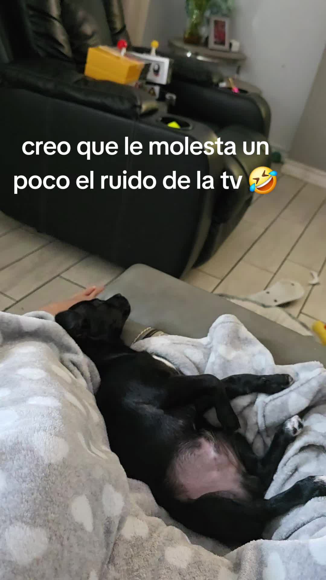 @Guadalupe Ovalle