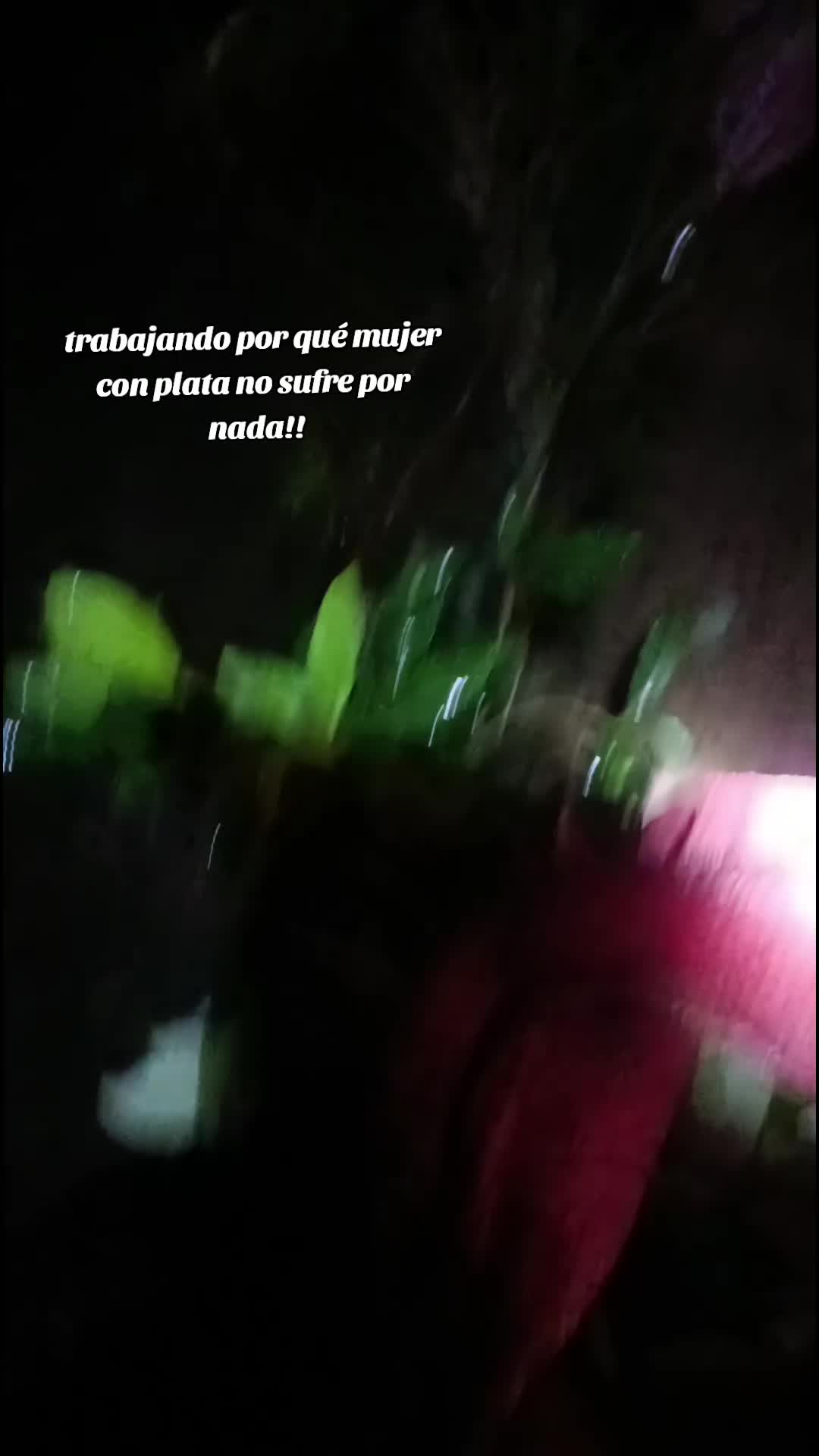 @Liz 🥰