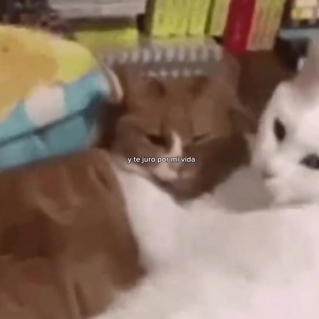 @𝒪𝓳𝓮𝓭𝓪𝓻𝓲𝓸