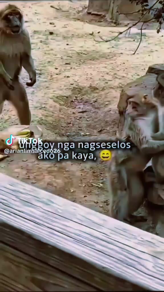 @Randy Estinoso