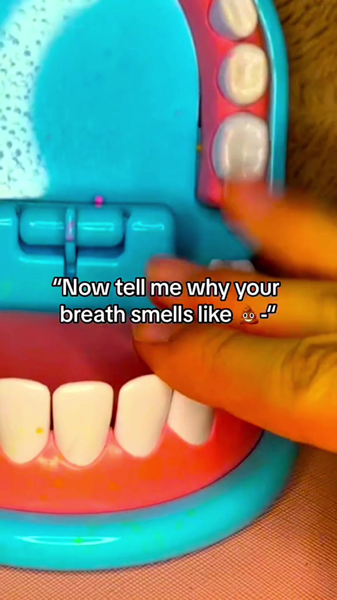 @Marcus ASMR