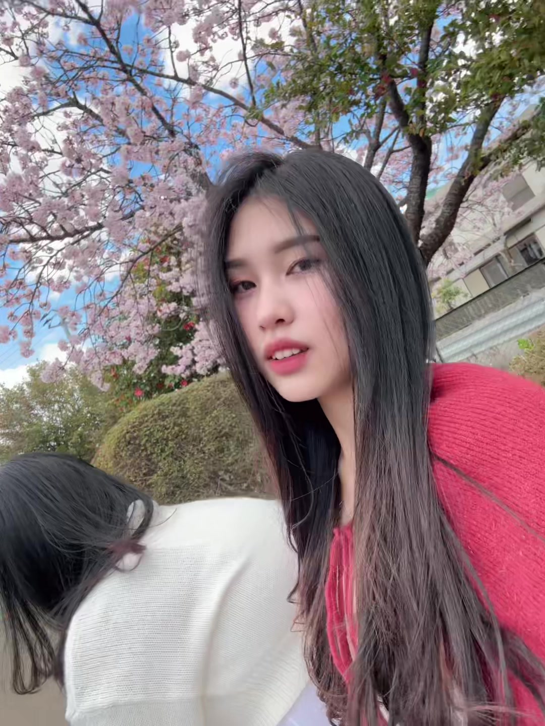 @ainii🍓