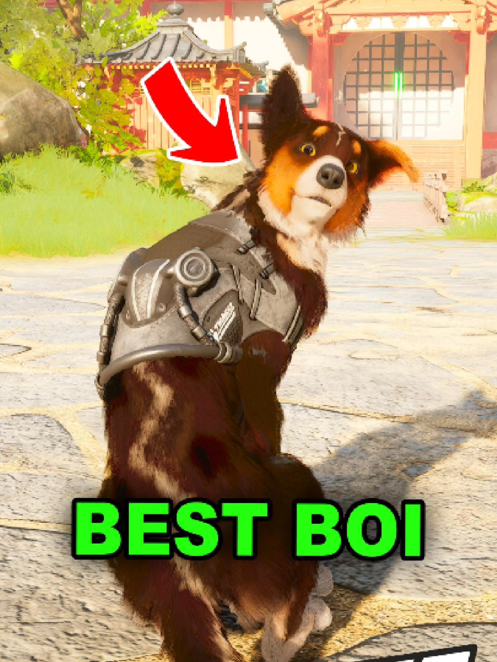 @Furo